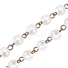Handmade Glass Pearl Beads Chains AJEW-PH00489-02-4