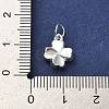 925 Sterling Silver Pendants STER-P057-03S-3