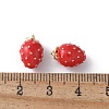Brass Enamel Charms KK-D336-06G-07-3
