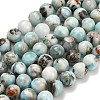 Natural Larimar Beads Strands G-L642-B19-8mm-2