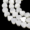 Natural Trochid Shell/Trochus Shell Beads Strands SH-CBA2978-19A-2