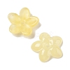 Transparent Spray Paint Glass Beads GLAA-Z011-07F-2