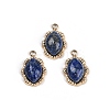 Natural Lapis Lazuli Oval Charms STAS-I325-144G-02-1