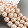 Natural Cultured Freshwater Pearl Beads Strands PEAR-C003-21D-1