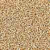 MIYUKI Delica Beads SEED-MY11-DB2501-2