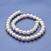 Natural Cultured Freshwater Pearl Beads Strands PEAR-P060-19-2