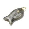 Natural Labradorite Pendants KK-D021-05H-G-2