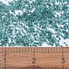 MIYUKI Delica Beads X-SEED-J020-DB1208-4