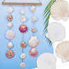 500G Natural Shell Ornaments DJEW-FH0001-35B-5