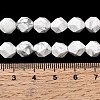Natural Howlite Beads Strands G-Z119-A43-02-6