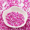 Baking Paint Glass Seed Beads X-SEED-S042-05B-47-2