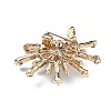 Alloy Rhinestone Brooch for Backpack Clothes JEWB-P046-05A-G-2