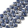 Natural Blue Spot Jasper Beads Strands G-H344-B02-01-2