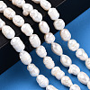 Natural Cultured Freshwater Pearl Beads Strands PEAR-N012-06R-6