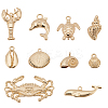 20Pcs 10 Styles Tibetan Style Alloy Pendants TIBEP-UN0001-25G-1