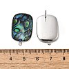 304 Stainless Steel Pave Natural Paua Shell Stud Earring Findings STAS-Z125-08P-3
