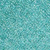 12/0 FGB Grade A Round Glass Seed Beads SEED-N001-E-318-2