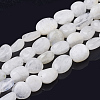 Natural Rainbow Moonstone Beads Strands G-Q961-27-1