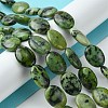 Natural Variscite Beads Strands G-D067-H02-A01-4