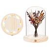Glass Dome Cover AJEW-WH0752-088A-1