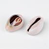 Natural Cowrie Shell Beads X-BSHE-S053-2
