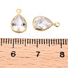 Cubic Zirconia Charms GLAA-T023-10G-3