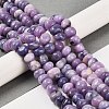 Natural Lepidolite/Purple Mica Stone Beads Strands G-G053-C01-01-2