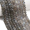 Natural Labradorite Beads Strands G-G448-7.5mm-04-1