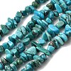 Natural HuBei Turquoise Bead Strands G-H345-A01-06-2