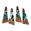 Transparent Resin & Walnut Wood Big Pendants LS-RESI-TAC0017-71-A02-1