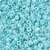 8/0 Glass Seed Beads SEED-US0003-3mm-154-2