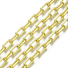 Unwelded Iron Paperclip Chains CH-S125-21A-03-1