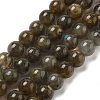Natural Labradorite Beads Strands G-I253-01-2