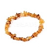 Natural Amber Chip Beaded Stretch Bracelets BJEW-N041-01A-1