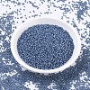 MIYUKI Round Rocailles Beads X-SEED-G007-RR0648-2