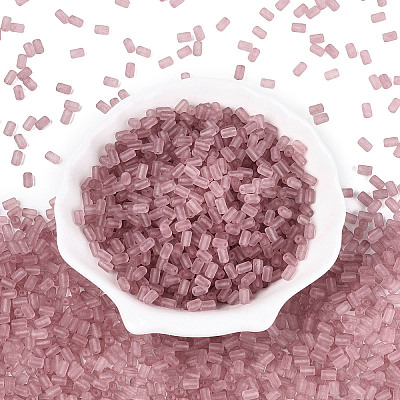 FGB Frosted Transparent Glass Seed Beads SEED-N013-05A-06-1