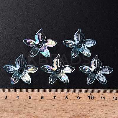 Transparent Acrylic Beads MACR-S373-102-C05-1