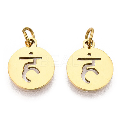 304 Stainless Steel Charms STAS-Q201-T446G-01-1