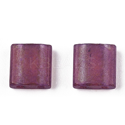 2-Hole Glass Seed Beads SEED-T003-02C-04-1