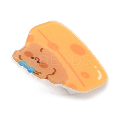 Cartoon Style Acrylic Brooches LS-JEWB-P018-02C-1