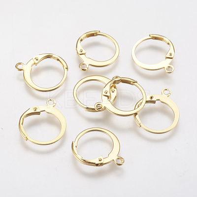 304 Stainless Steel Leverback Earring Findings X-STAS-F141-02G-1
