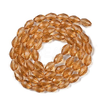 Transparent Glass Beads Strands LS-EGLA-N013-T10mm-D21-1