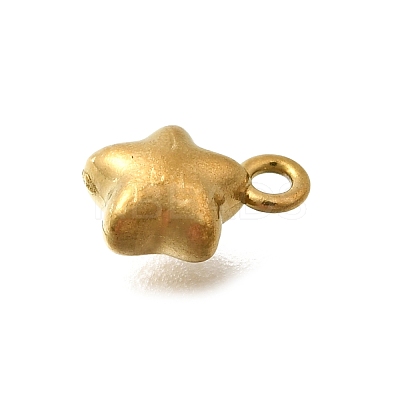 304 Stainless Steel Charms LS-STAS-D310-06G-05-1