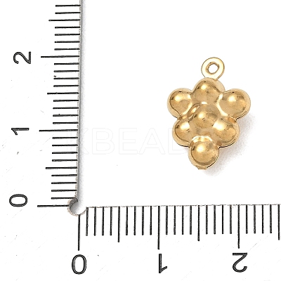304 Stainless Steel Charms SA-CBA1975-05G-04-1