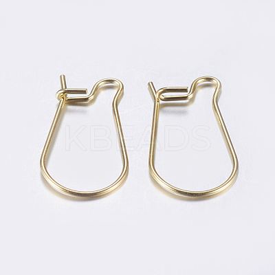 304 Stainless Steel Hoop Earrings STAS-L198-15B-G-1