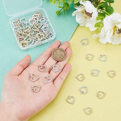 60Pcs 2 Colors Alloy Charms ALRI-FH0001-13-1