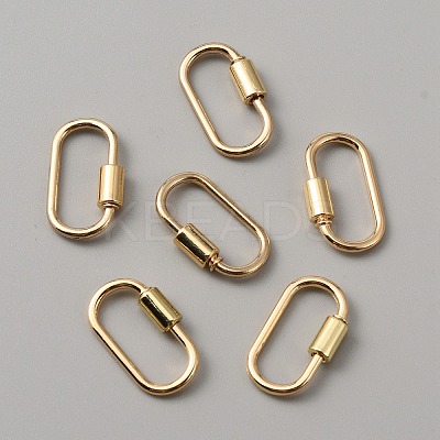 Alloy Screw Carabiner Lock Charms FIND-WH0111-370G-1