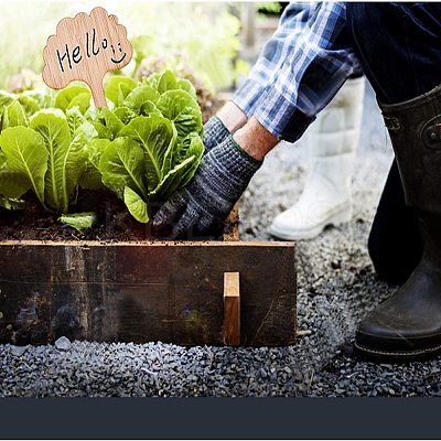 Bamboo Plant Labels TOOL-GA0001-20-1