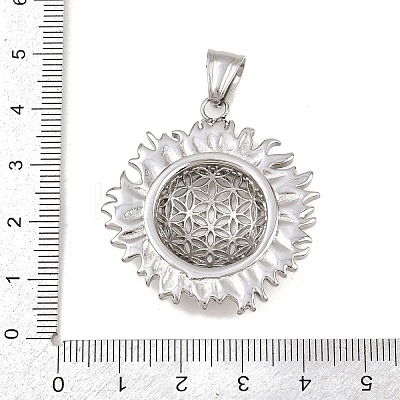 304 Stainless Steel Pendants STAS-K316-02P-1