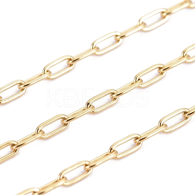 3.28 Feet Ion Plating(IP) 304 Stainless Steel Paperclip Chains X-CHS-F010-01A-G-01-1